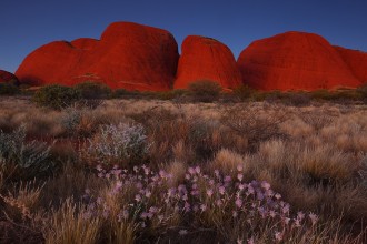 Outback Australia Photos